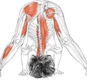 Posturas invertidas