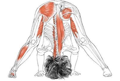 Posturas invertidas