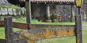 Retiro de Yoga en el Ripollès
